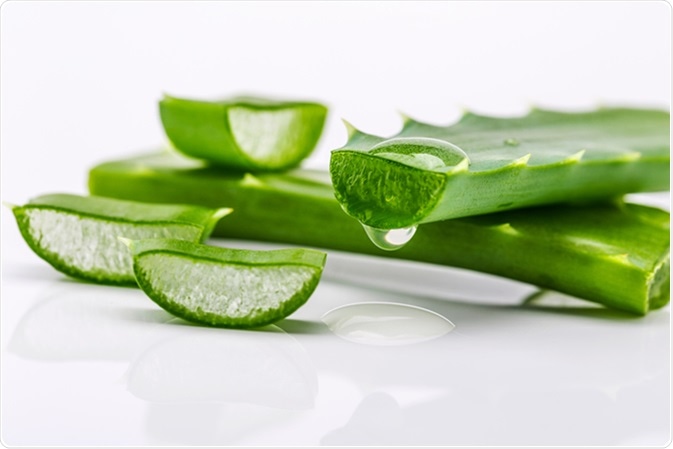 aloevera